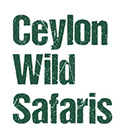cws logo_small